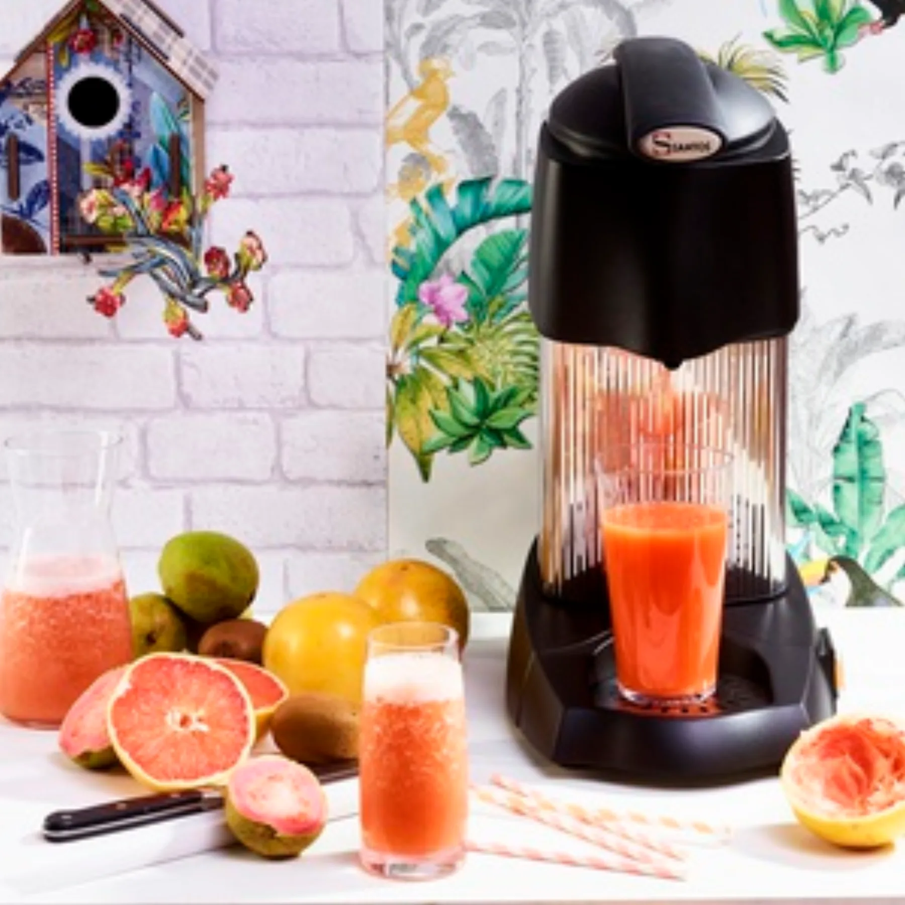 Best Beverage Equipment Setup for Modern Cafés and Beverage Kiosks Using Santos Appliances