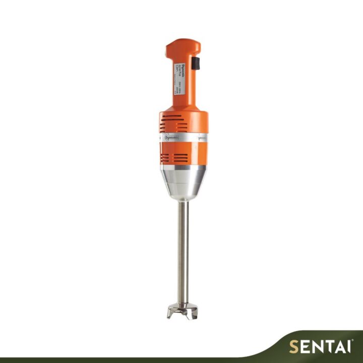 DYNAMIC NO.DMX225 HAND BLENDER - DETACHABLE, JUNIOR, 225MM (MX021.V)