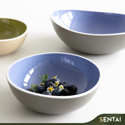 ZICCO THE DRAGON LAKE TWO-TONE IRREGULAR MELAMINE CONDIMENT BOWL